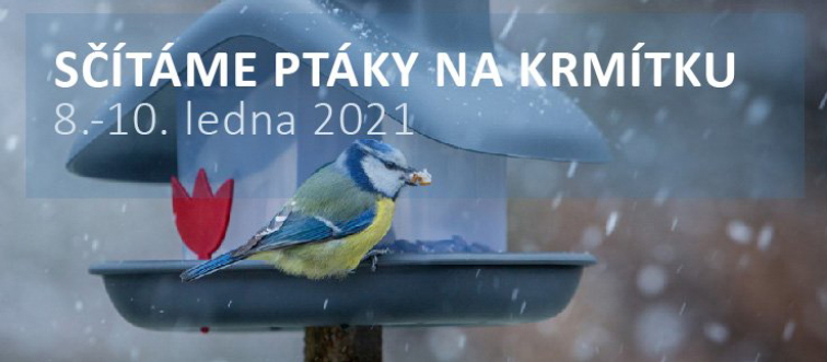 Jak si ptáci povídají?
