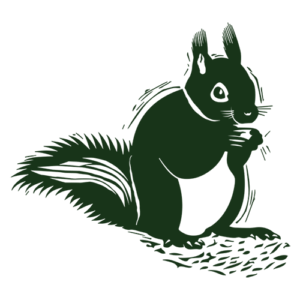 Pomáháme veverkám na zahradě