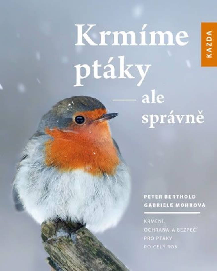 Celoroční dokrmování ptáků – urážky, mýty a fakta v české kotlině