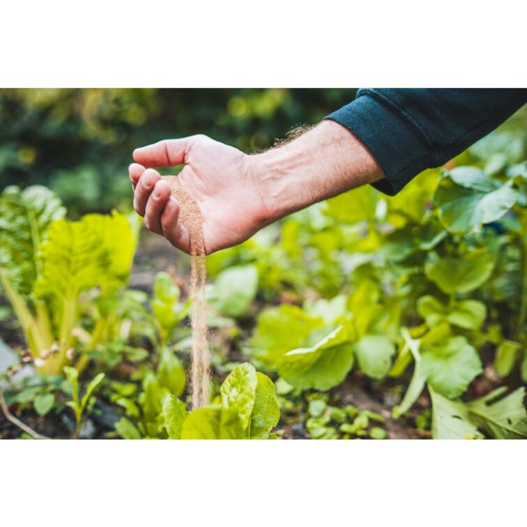 Black Frass STANDARD 2,8 l - Organické hmyzí hnojivo