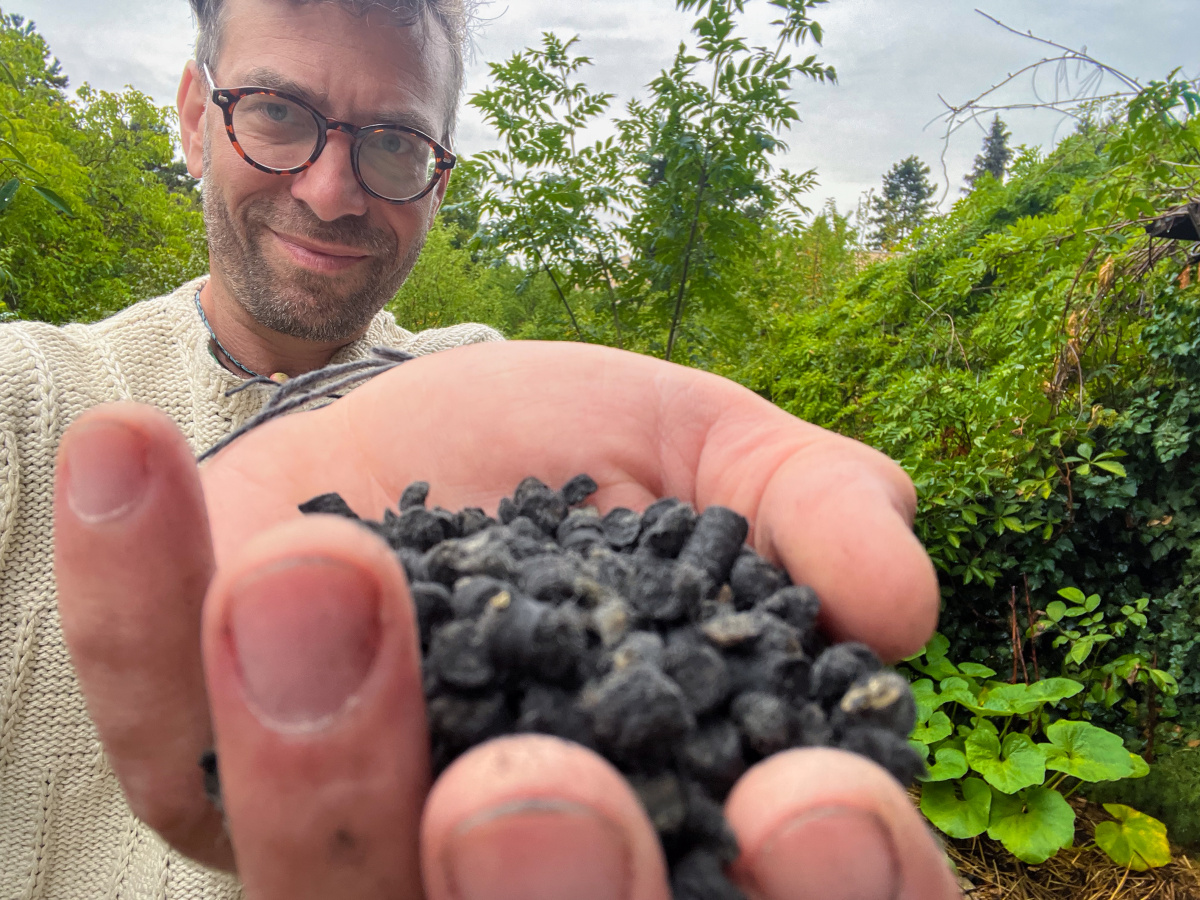 BlackWool hnojivo s biouhlem pro výsadby