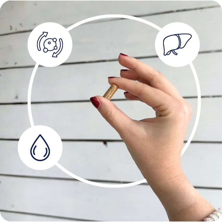 LIPOSOMAL Liver REGEN MAXIMAL 90 kapsúl