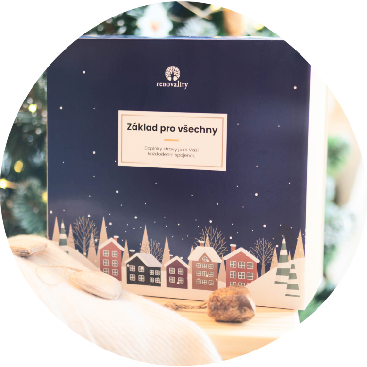 Základ pro všechny