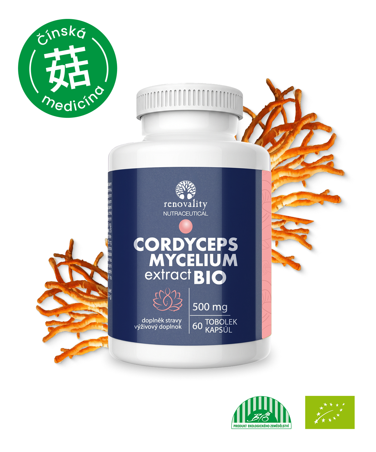 CORDYCEPS MYCELIUM extract BIO 60 tobolek