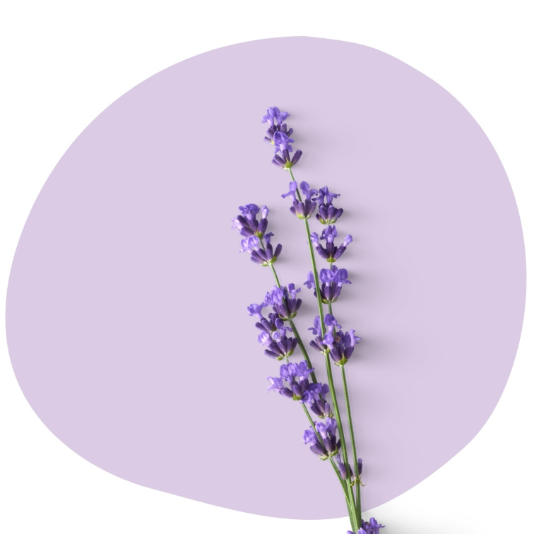 Lavender French 100% esenciální olej 20 ml