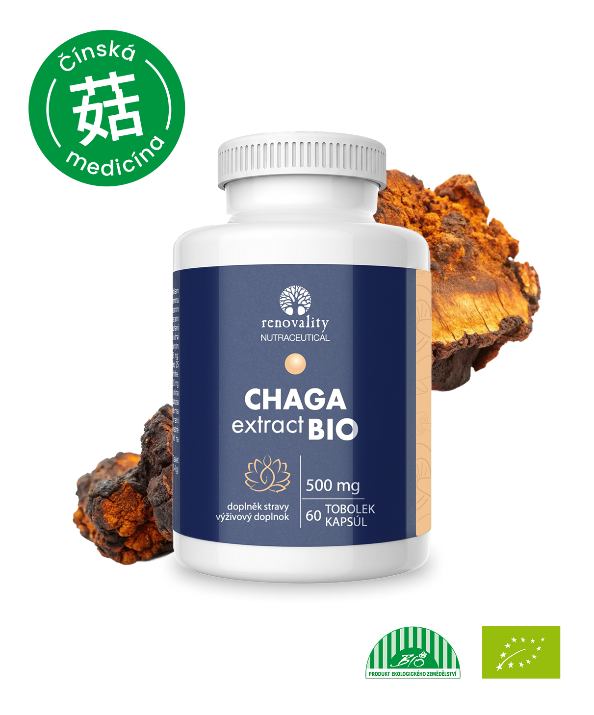 CHAGA extract BIO 60 tobolek