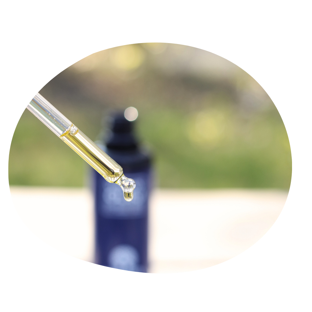 Česká firma - ikonka