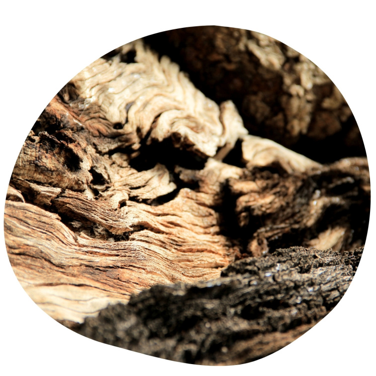 Cedarwood Atlas 100% esenciální olej 20 ml