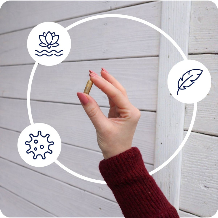 RENOGYN Intim pH Balance 90 tobolek