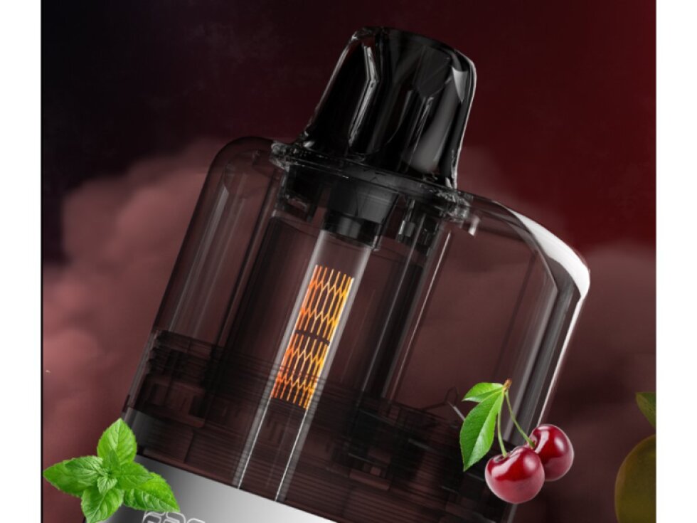 Robusta Výměnný POD 2+10ml - bez liquidu