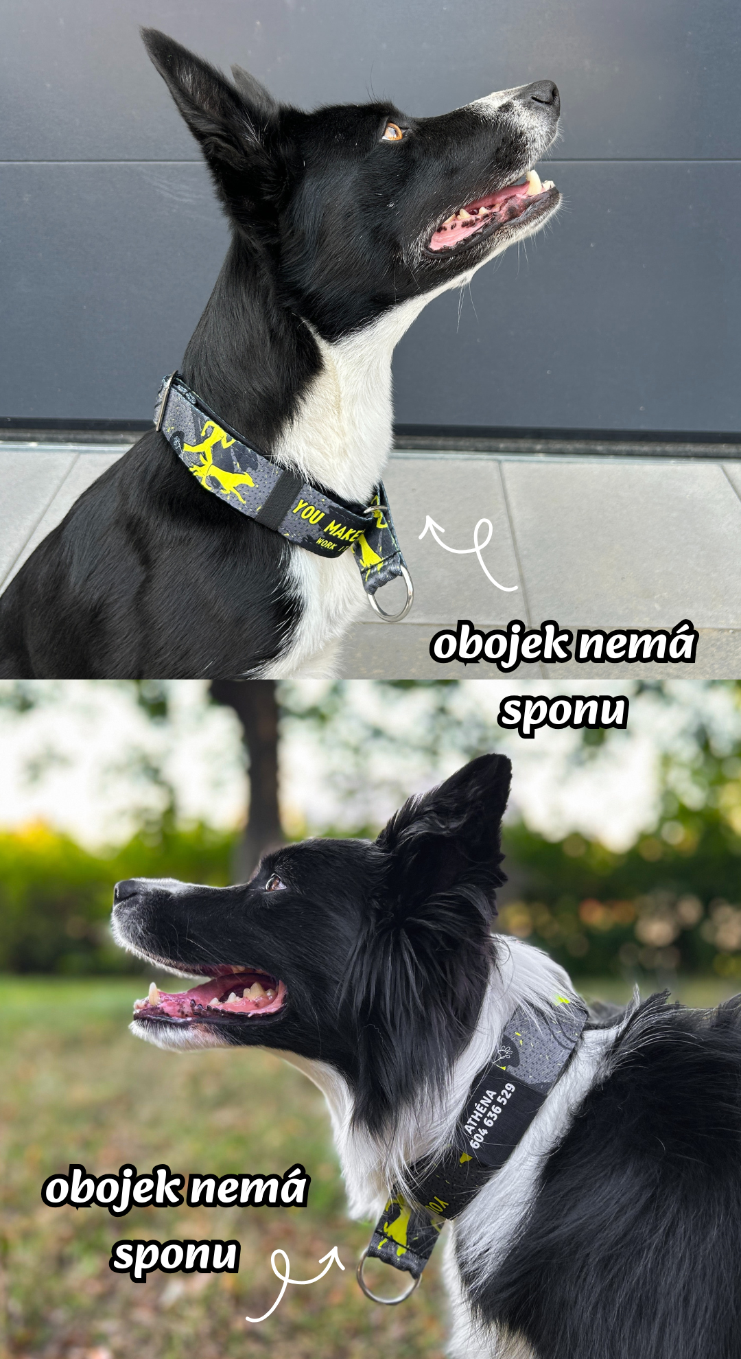 Polostahovací obojek pro psa se jménem stronger