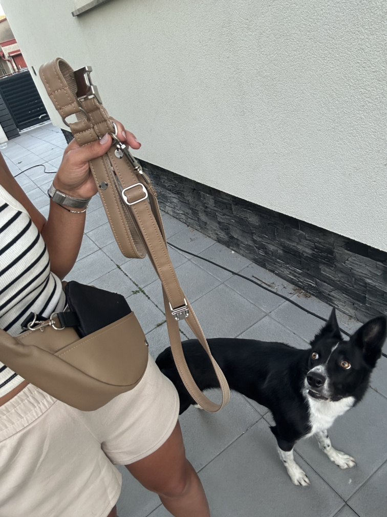 Hnědý obojek pro psa z koženky se jménem a číslem