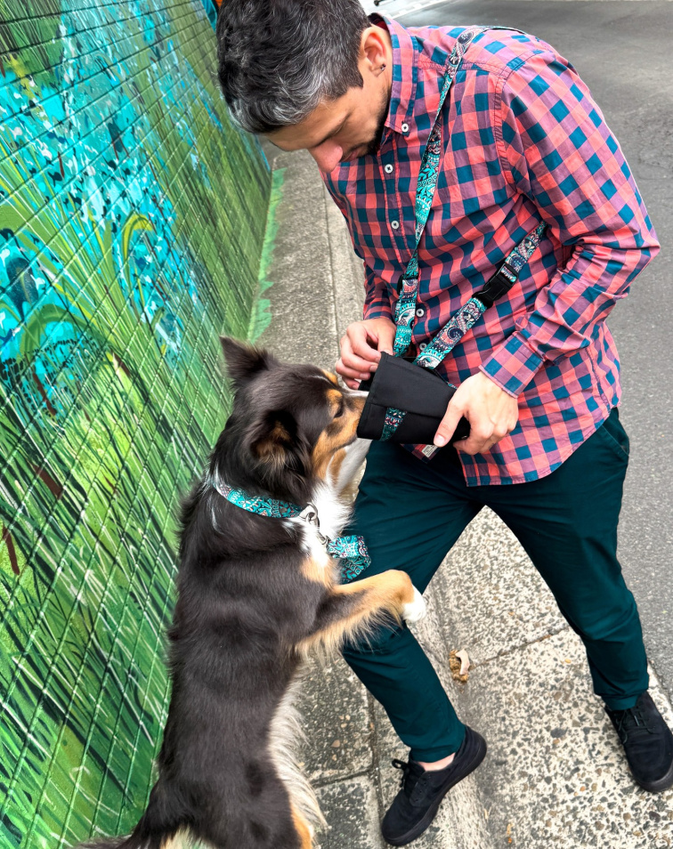 Obojek pro psa se jménem a číslem modré barvy