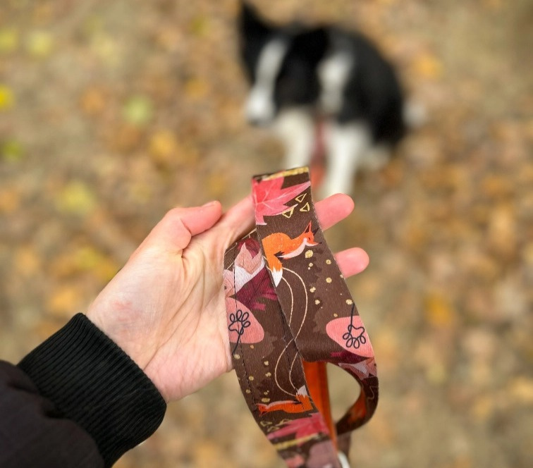 Obojek pro psa se jménem lišky