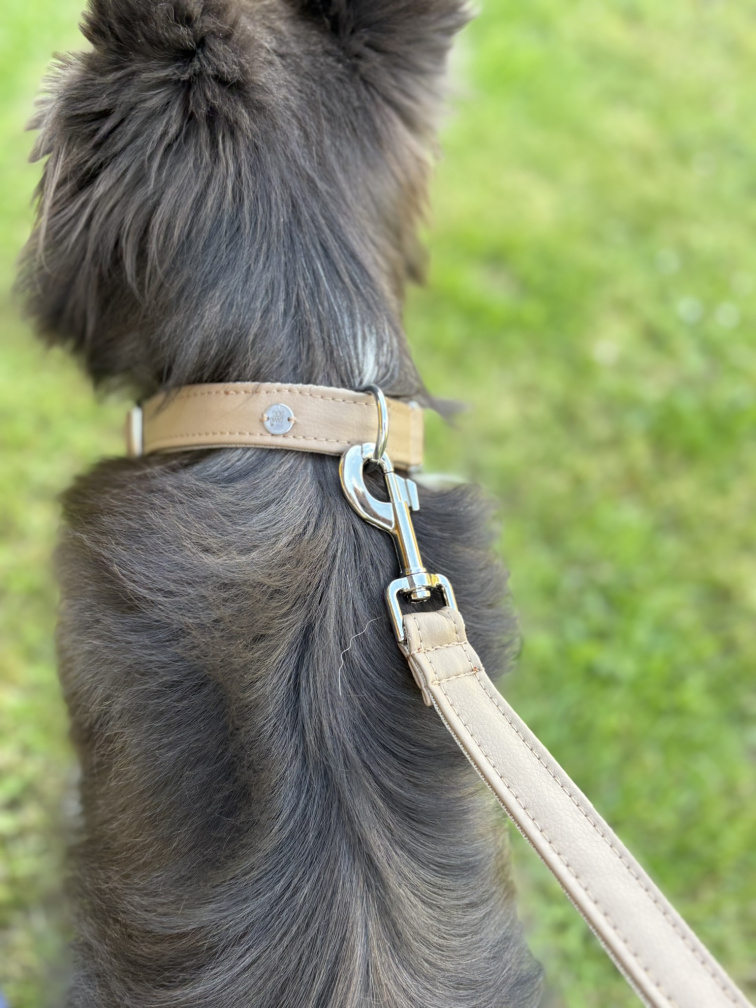 Hnědý obojek pro psa z koženky se jménem a číslem