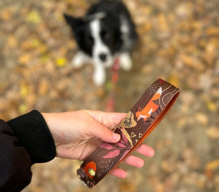 Obojek pro psa se jménem lišky