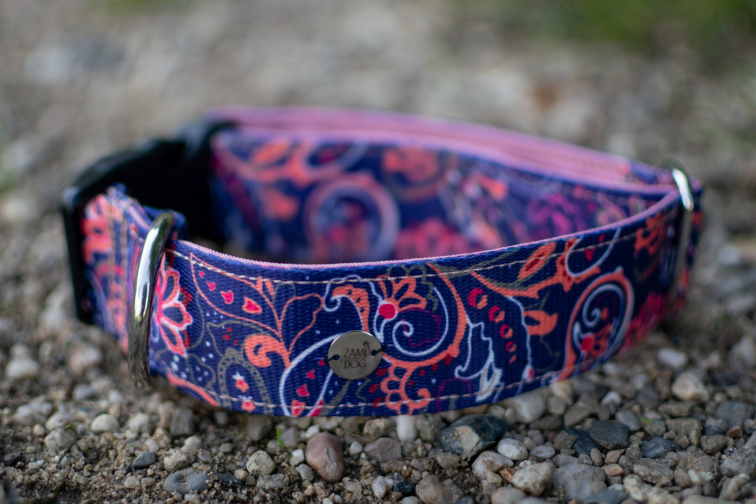 Obojek pro psa se jménem růžový