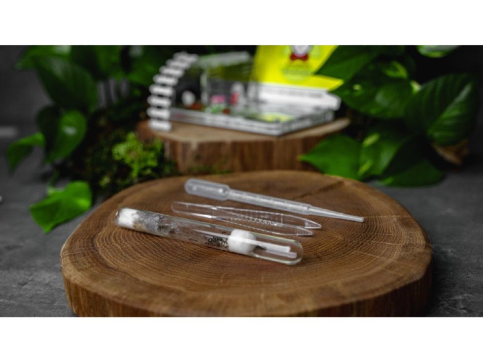 Mravenčí farma Komplet - mazlíček bez starosti