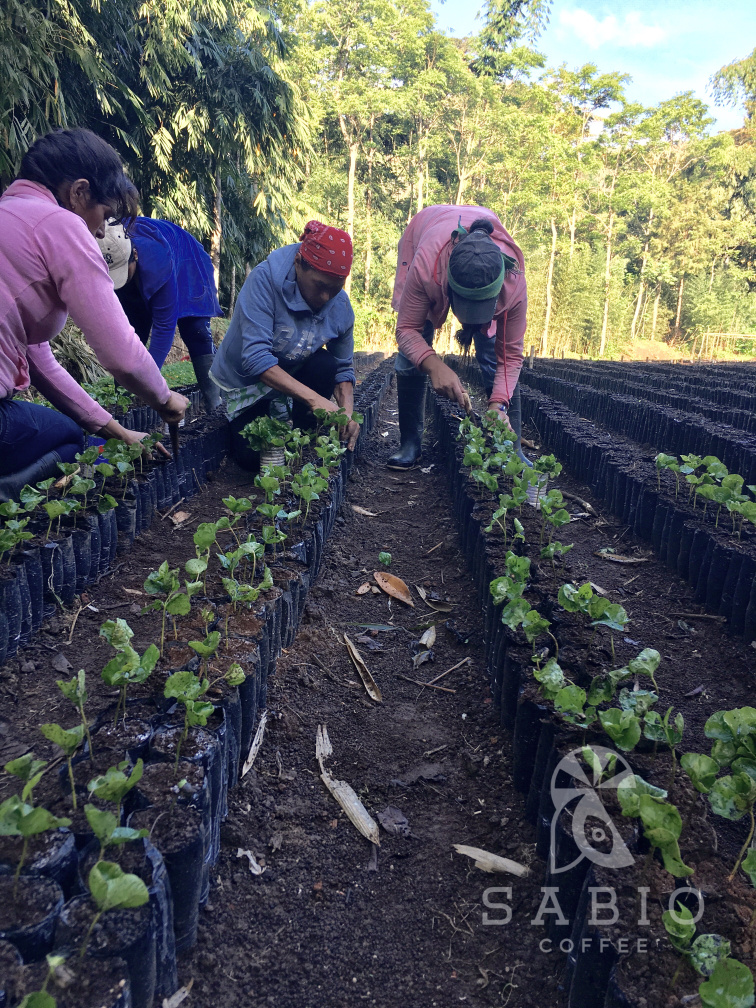 Nikaragua Villa Sarchi