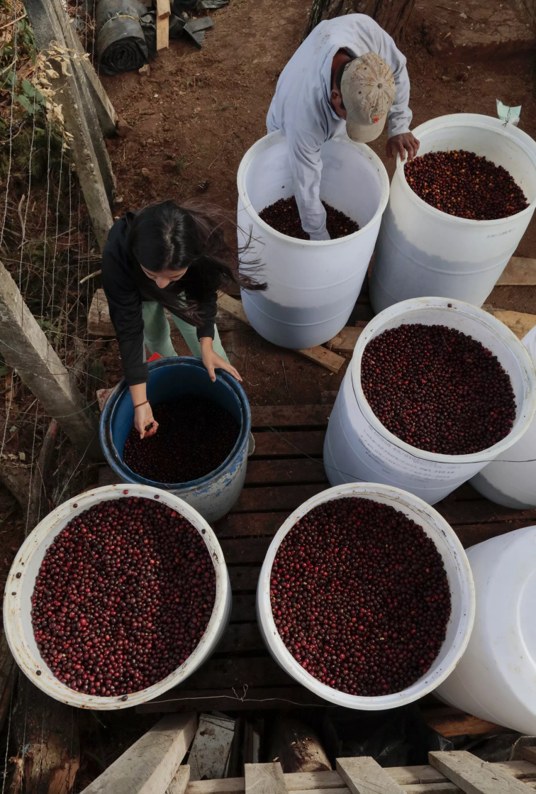 Salvador Mauricio Salaverria
