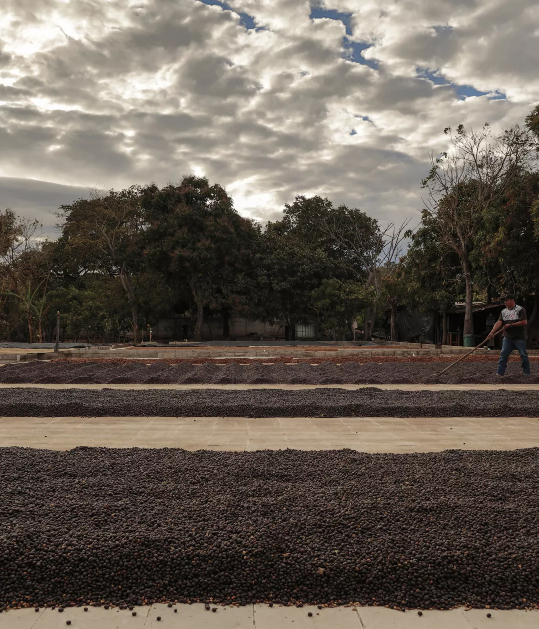 Salvador Mauricio Salaverria