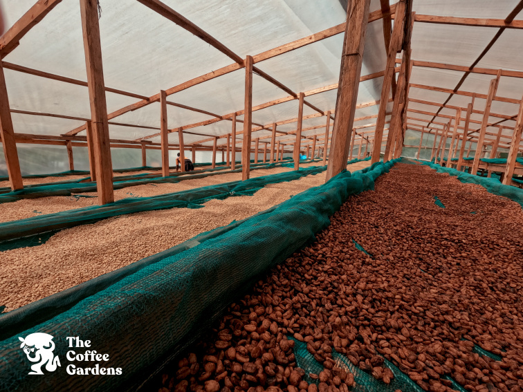 Uganda Nafuna