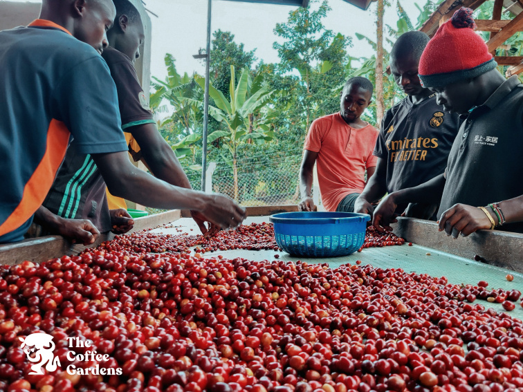 Uganda Nafuna