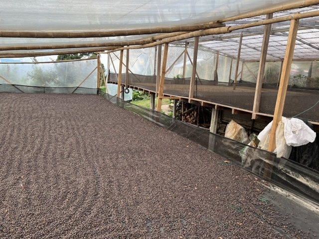 Kolumbie Nestor Lasso