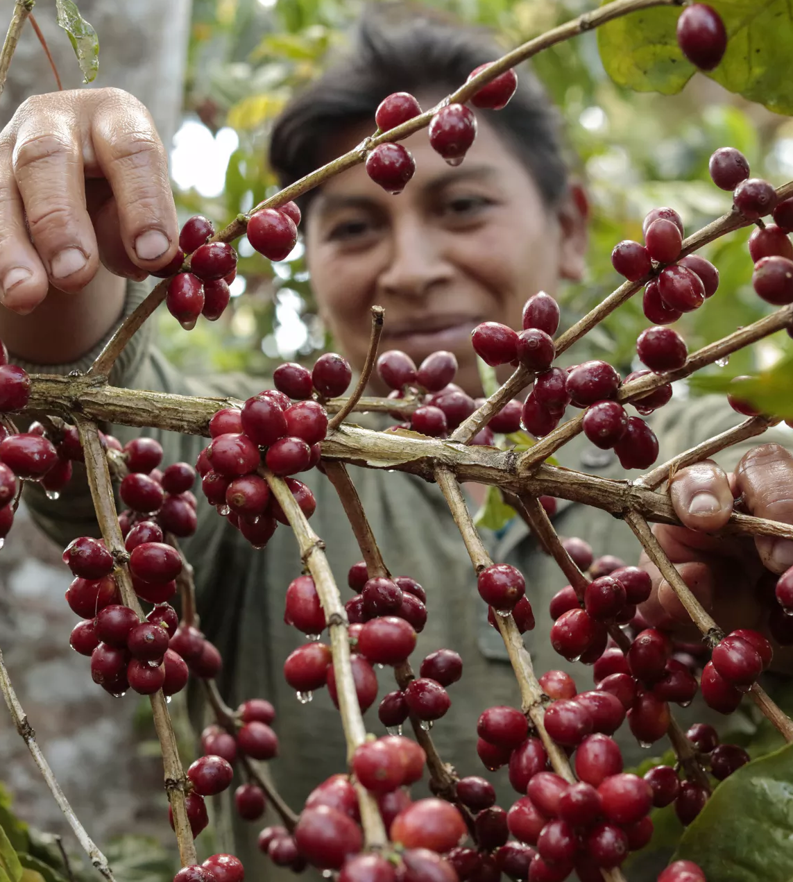 Salvador Mauricio Salaverria