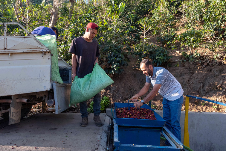 Costa Rica Roberto Mata - Advent Coffee