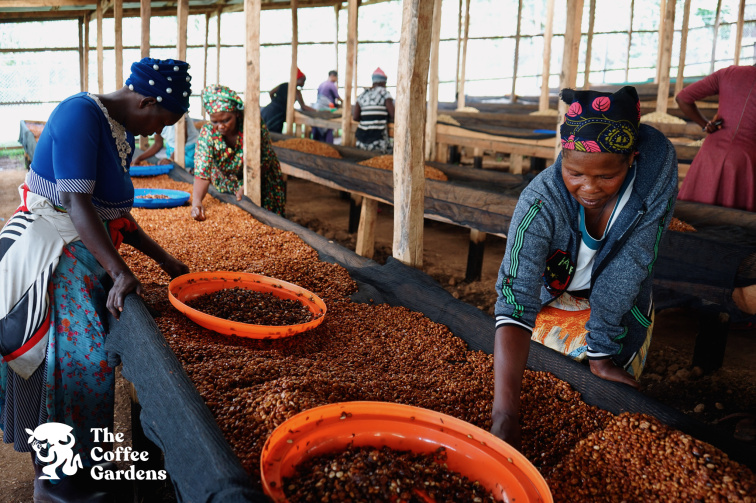 Uganda Nafuna