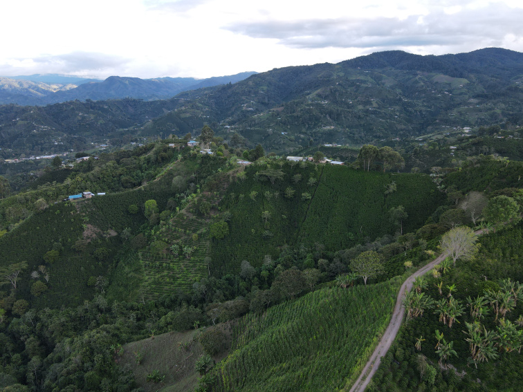 Kolumbie Nestor Lasso