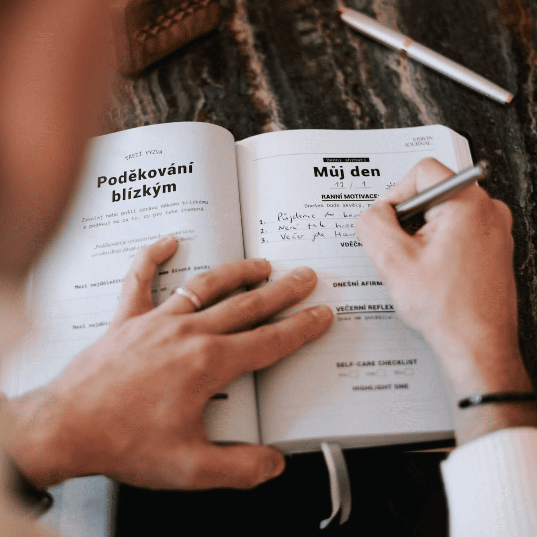 černý VISION JOURNAL