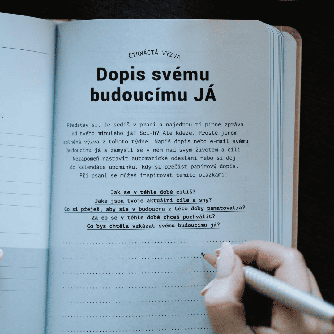 černý VISION JOURNAL