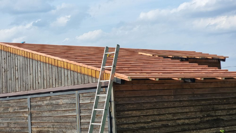 EUREKO Green zapěstovaná střešní taška