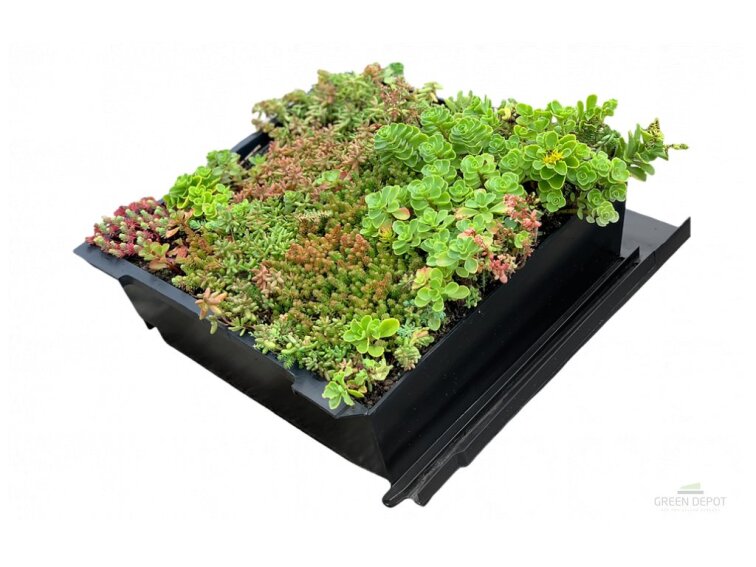 EUREKO Green zapěstovaná střešní taška