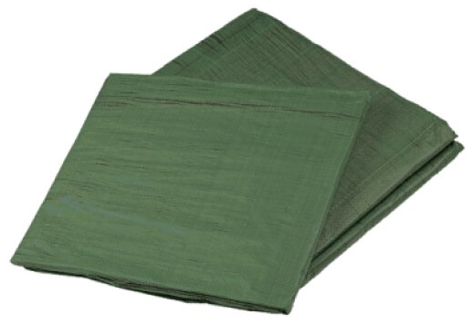 Zakrývací plachta s kovovými oky PROFI 6 × 10 m 120 g/m²