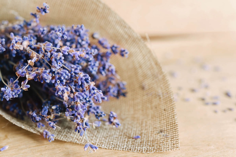 BIO Ostropestřecová pasta s Levandulí Chodouňskou