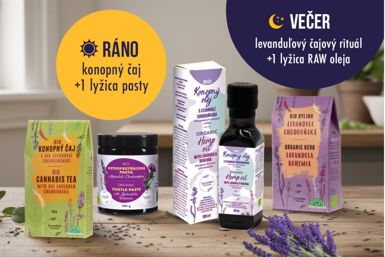 Detox – prebudenie vitality