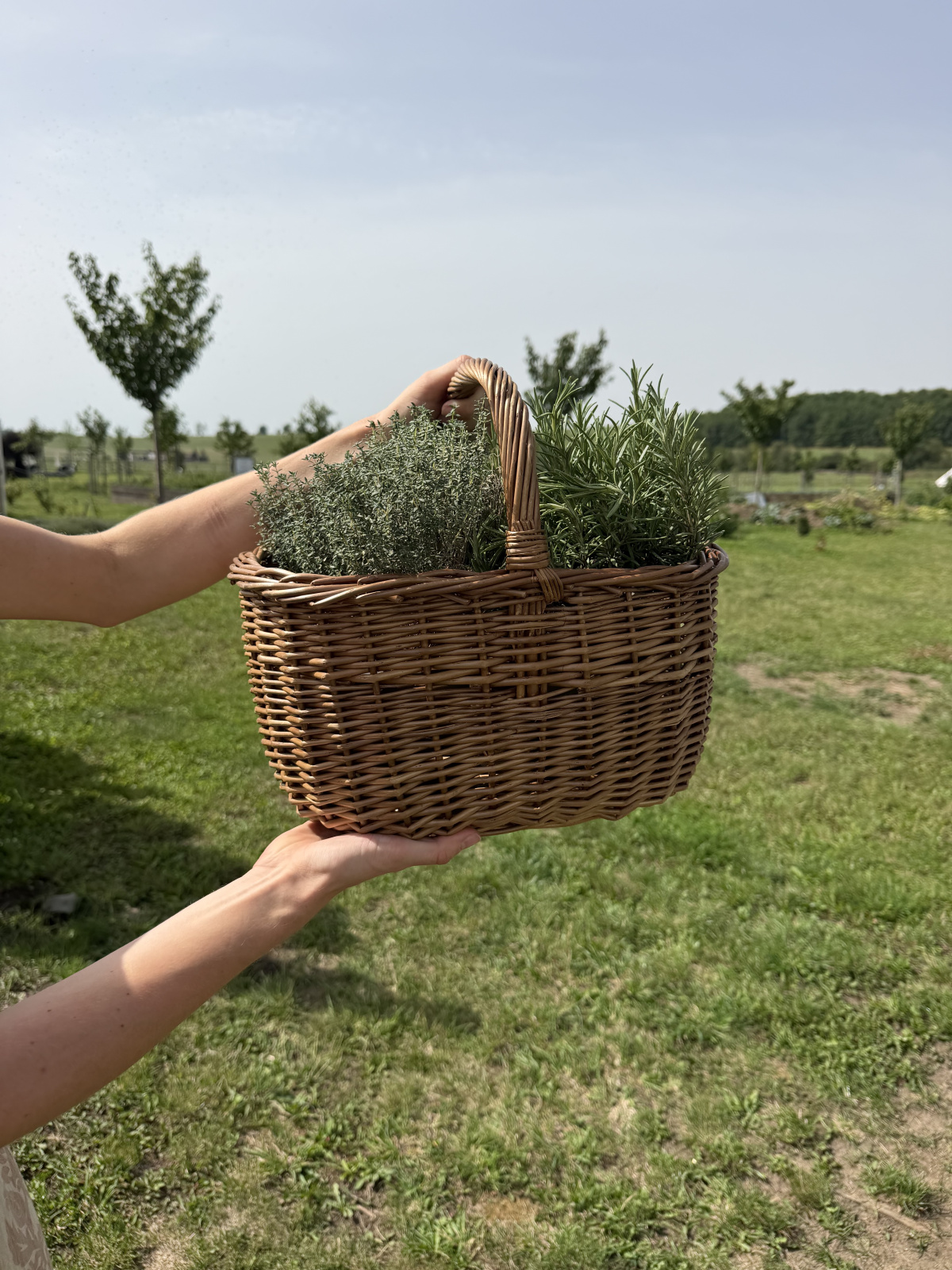 BIO přírodní lékárna - podzimní mátová bomba