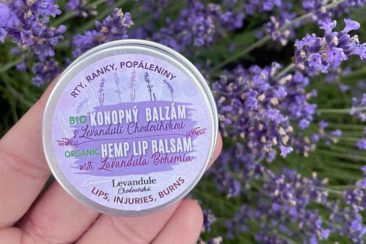 SADA pro dlouhověkost každé buňky v těle ženy