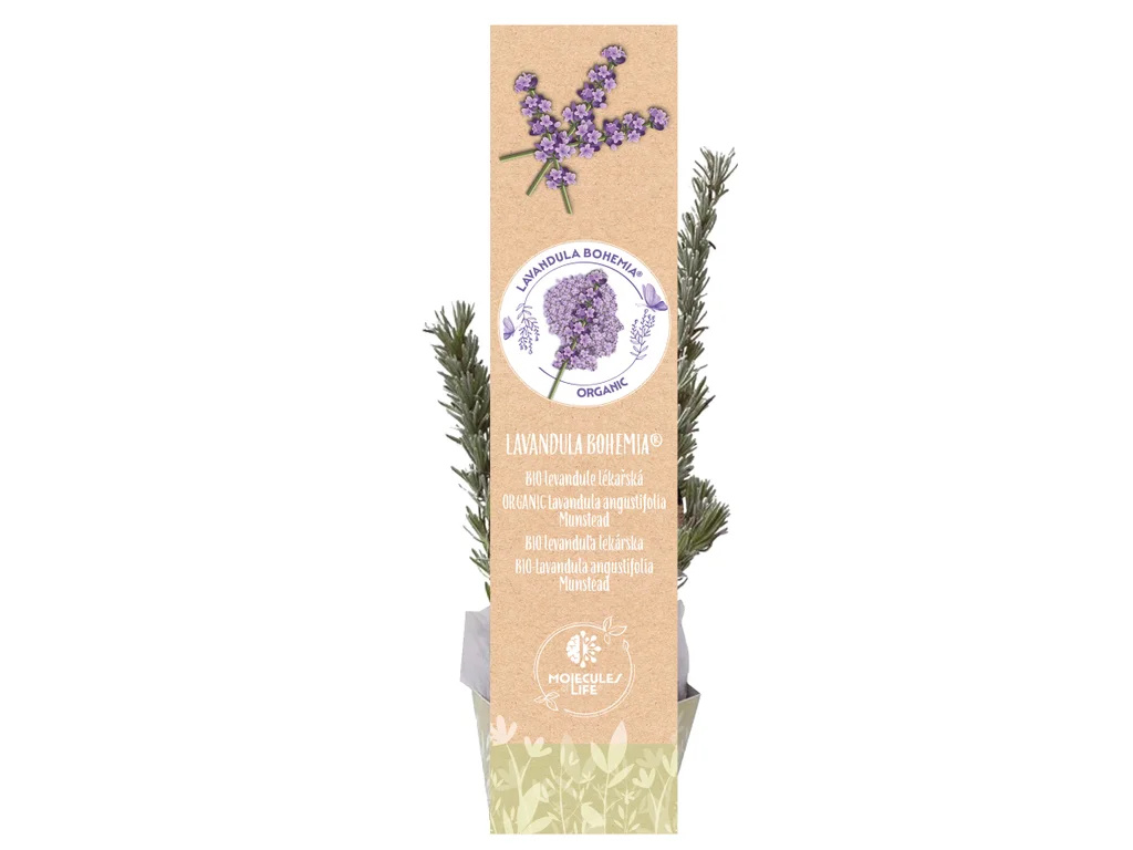Well-being zážitek ze zahrad Herbarium