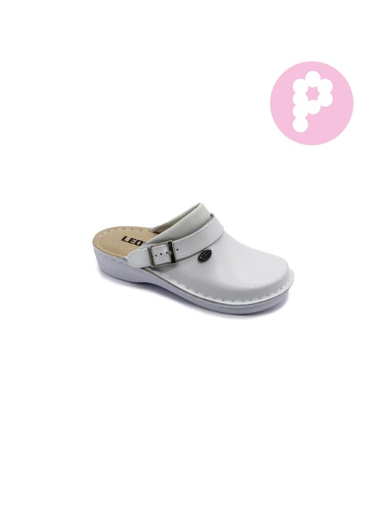 Leon V202Z Dámská pracovní celokožená zdravotní obuv