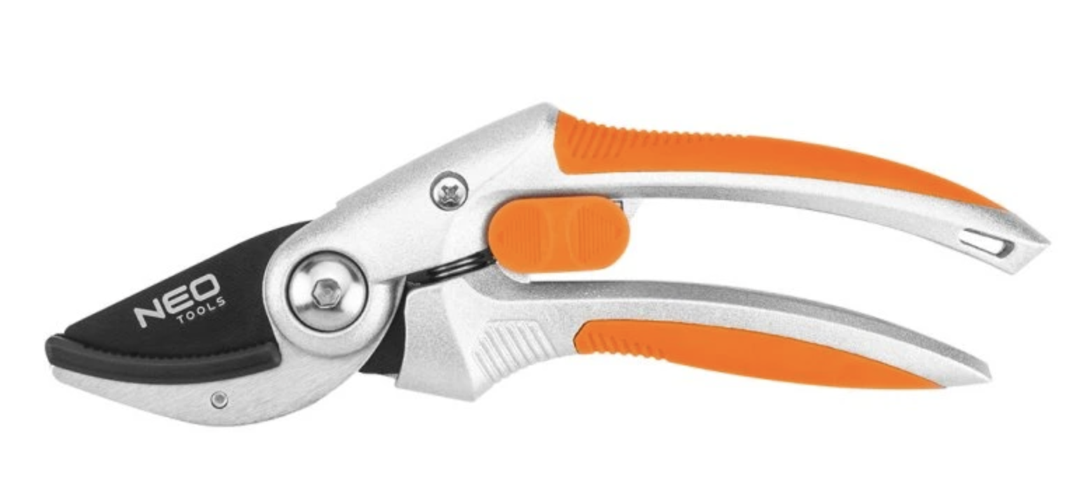 Proč rostliny po výsadbě nerostou (a jak to rychle napravit)