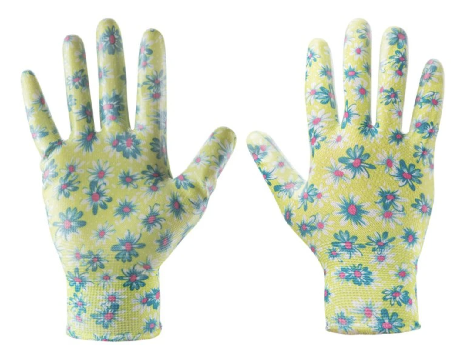 Co vysévat jako první: jarní plán výsevu krok za krokem