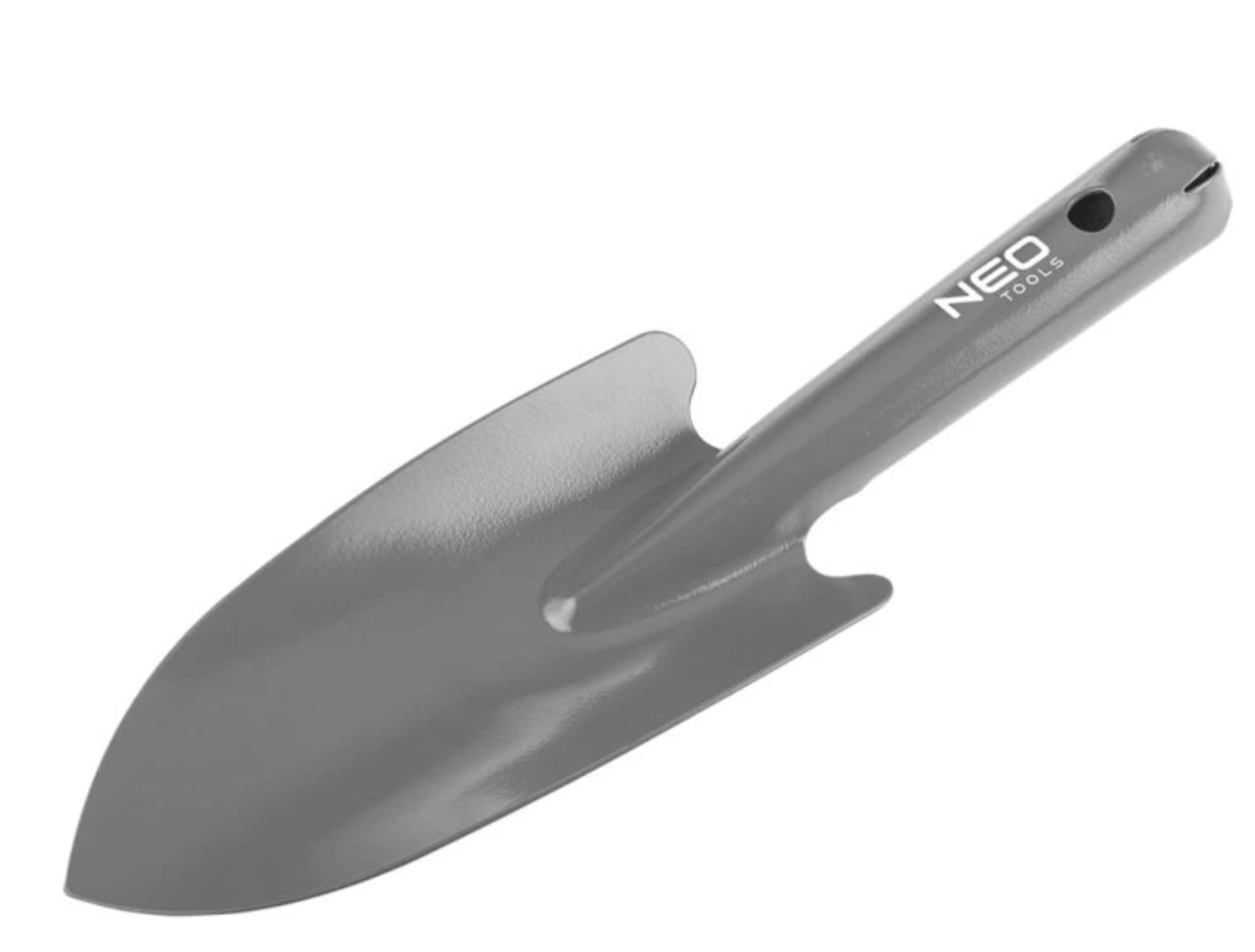 Co vysévat jako první: jarní plán výsevu krok za krokem