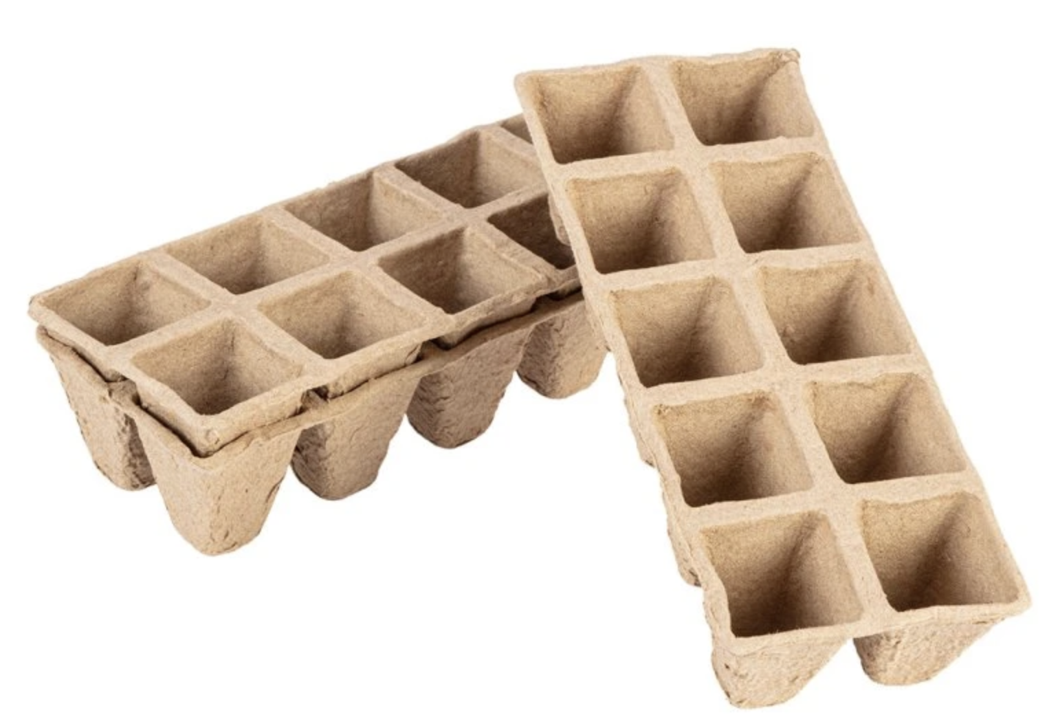 Předpěstování sazenic doma: kdy začít a jak na to