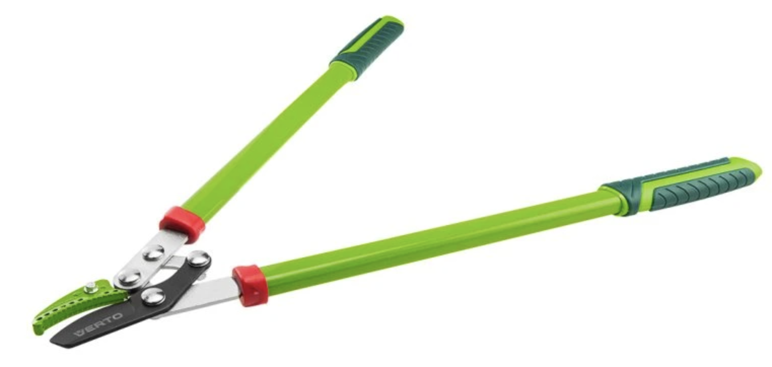 Nejčastější chyby při stříhání keřů (a jak se jim vyhnout)