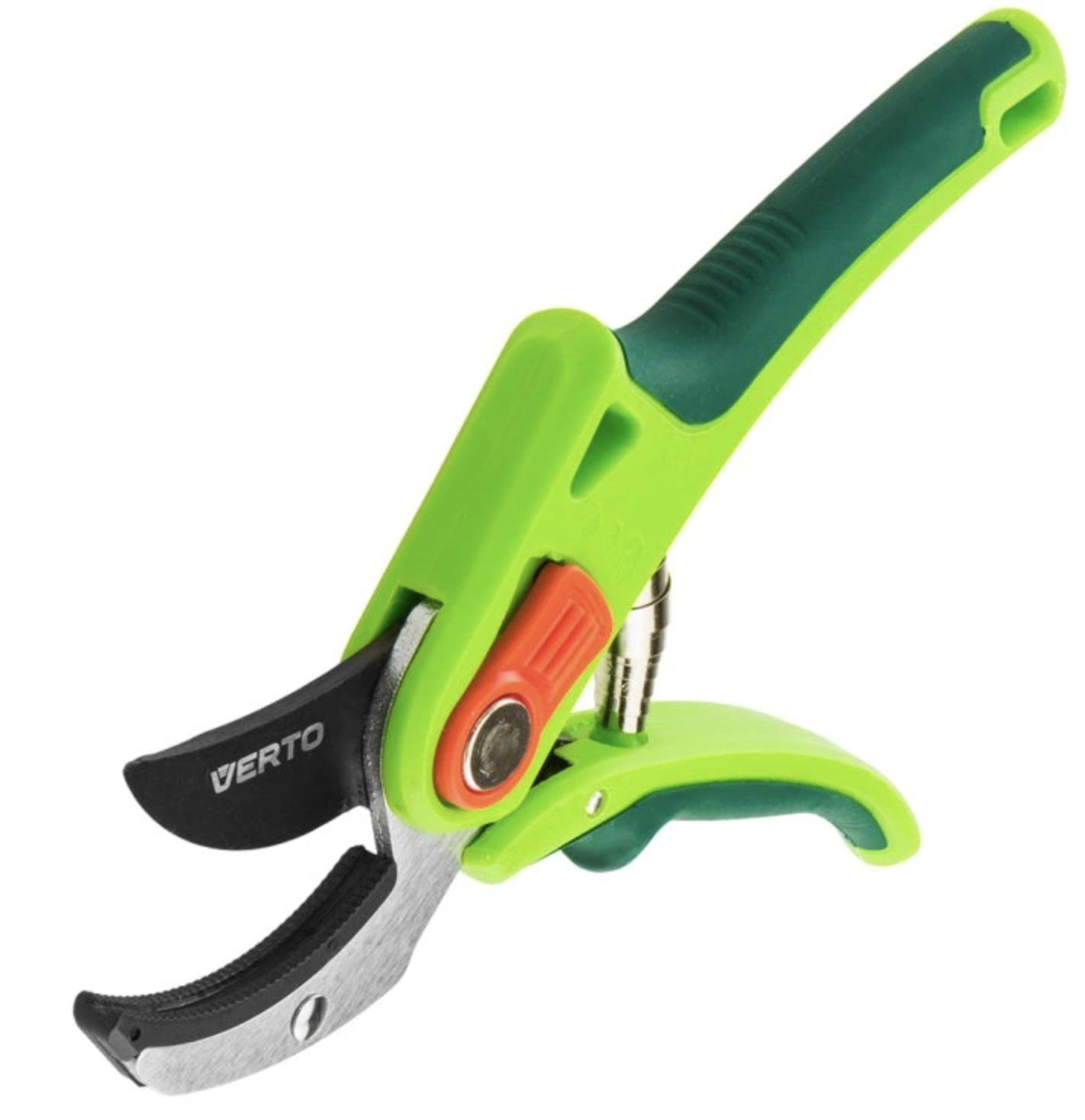 Proč je důležité pravidelně stříhat ovocné keře