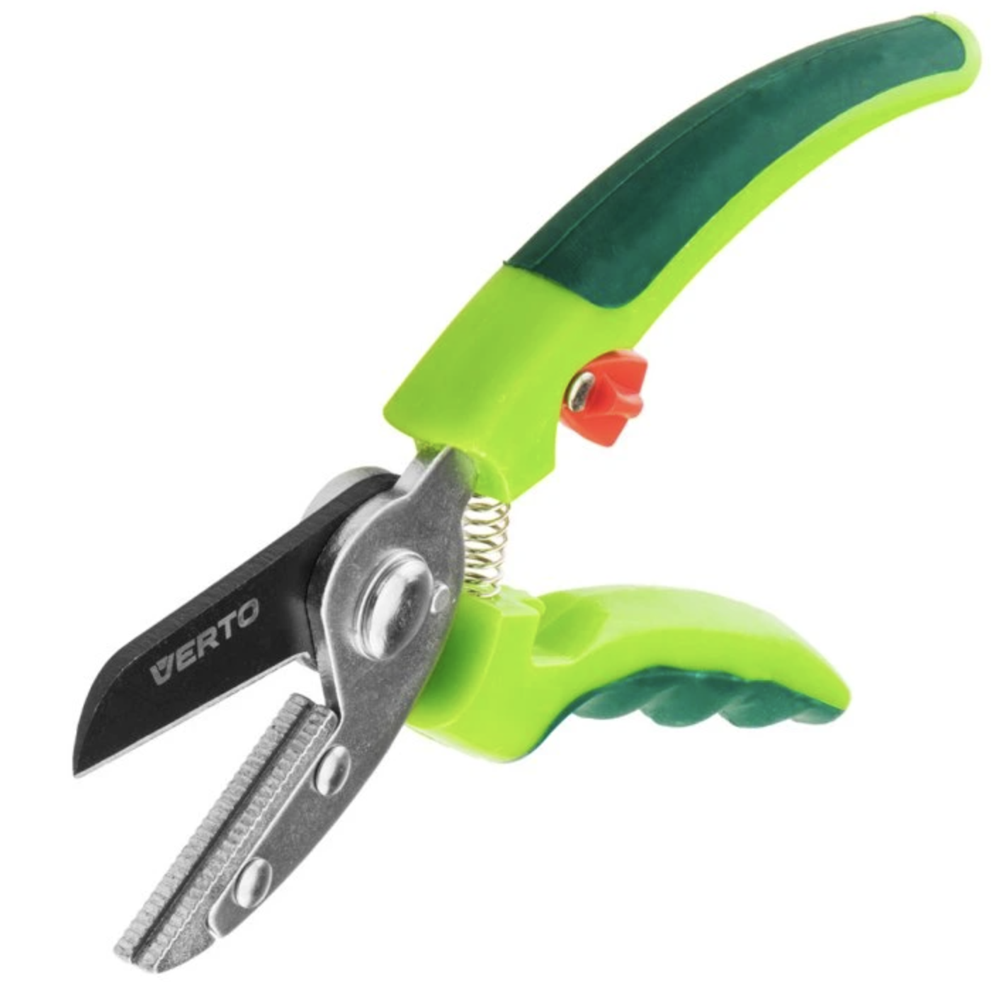 První výsadba na jaře: co zvládne i začátečník